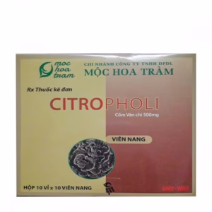 Viên nang CITROPHOLI 500mg tăng cường hệ miễn dịch (10 vỉ x 10 viên)