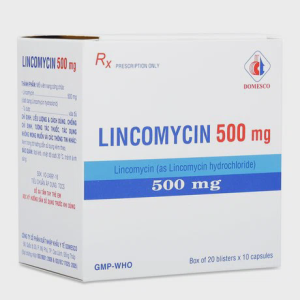 Viên nang Lincomycin 500mg - Domesco điều trị nhiễm khuẩn (20 vỉ x 10 viên)