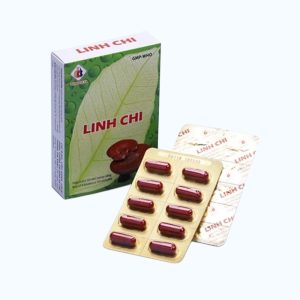 Viên nang Linh Chi Domesco hỗ trợ điều trị suy nhược thần kinh, tăng miễn dịch (4 vỉ x 10 viên)