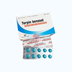 Viên nang Terpin Benzoat điều trị ho, làm long đàm (10 vỉ x 10 viên)