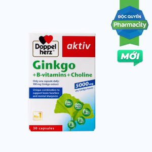Thực Phẩm Bảo Vệ Sức Khỏe Doppelherz Ginkgo (Hộp 30 Viên)