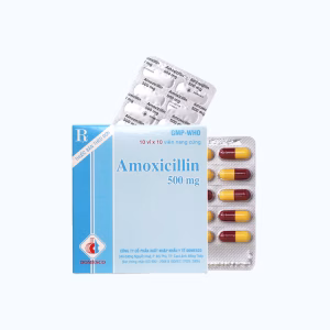 Viên nang Amoxicillin 500mg - Domesco điều trị nhiễm khuẩn (10 vỉ x 10 viên)
