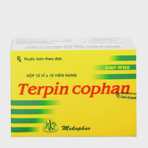 Viên nang Terpin Cophan 100mg trị ho, tiêu đờm (10 vỉ x 10 viên)