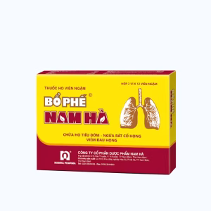 Viên ngậm Bổ phế Nam Hà giảm ho, giảm đờm, đau rát họng (2 vỉ x 12 viên)