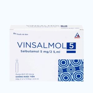 Vinsalmol 5mg/2.5ml Vinphaco (Hộp 10 Ống)