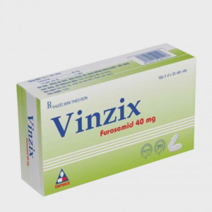 Vinzix 40mg Vinphaco (5vi x 50vien)
